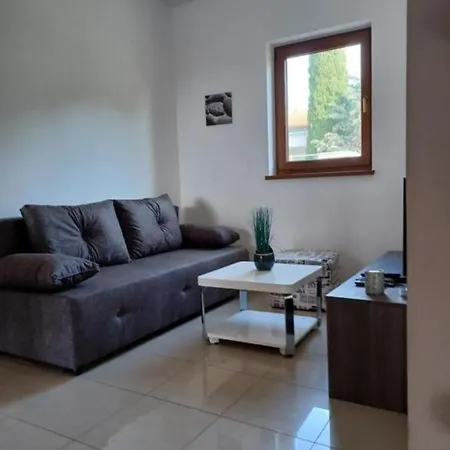 Slavica - 100 M From *